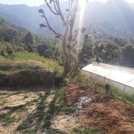 Parvatiya Homestay ムスーリー エクステリア 写真